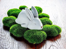 Load image into Gallery viewer, Sleeping White Bunny