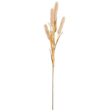 Load image into Gallery viewer, Bulrush Spray