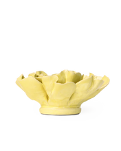 Load image into Gallery viewer, Lime Yellow Lakspur |CHIVE