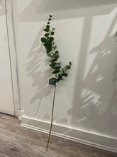 Load image into Gallery viewer, Delicate Eucalyptus Spray