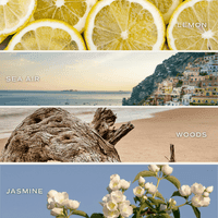 Load image into Gallery viewer, Coastal Lemon Candle