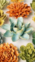 Load image into Gallery viewer, Robin's Egg Blue Aurora Water Lily | CHIVE