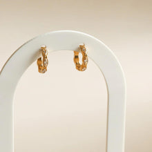 Load image into Gallery viewer, Ziro Hoops
