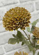 Load image into Gallery viewer, Brown Green Scabious Spray
