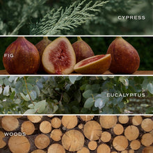 Load image into Gallery viewer, Let It Snow | Cypress, Eucalyptus, Fig, Woods