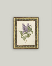 Load image into Gallery viewer, Lilac Branch Framed Antique Art