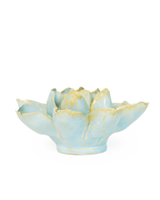 Load image into Gallery viewer, Robin's Egg Blue Aurora Water Lily | CHIVE