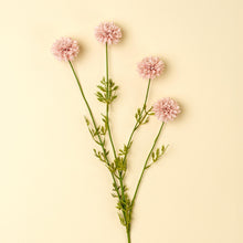 Load image into Gallery viewer, Pink Mini Chrysanthemum