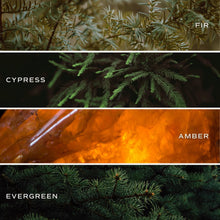 Load image into Gallery viewer, Fraser Fir | Fir, Cypress, Amber, Evergreen
