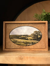 Load image into Gallery viewer, Sheep Boxed Framed Canvas Art