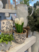 Load image into Gallery viewer, White Potted Tulips