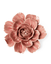 Load image into Gallery viewer, Champagne Pink Rose | CHIVE