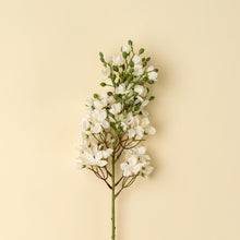 Load image into Gallery viewer, White Delphinium Stem