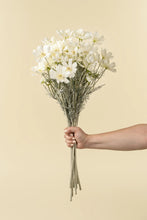Load image into Gallery viewer, White Cosmos Spray