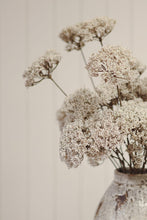Load image into Gallery viewer, Queen Anne's Lace Spray