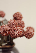 Load image into Gallery viewer, Mauve Morandi Bloom Bouquet