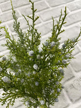 Load image into Gallery viewer, 14.5" Juniper Bush