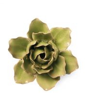 Load image into Gallery viewer, Peridot Stargazer Lily | CHIVE