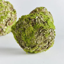 Load image into Gallery viewer, Mossy Lichen Orb