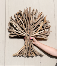 Load image into Gallery viewer, Large Tree of Life Driftwood Artwork *in store pickup