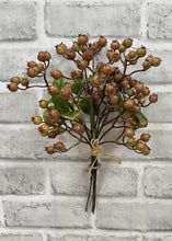 Load image into Gallery viewer, Fall Berry Bundle