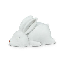 Load image into Gallery viewer, Sleeping White Bunny