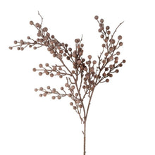Load image into Gallery viewer, Berry Branch