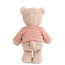 Load image into Gallery viewer, Colin Teddy Bear