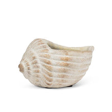 Load image into Gallery viewer, Small Conch Planter