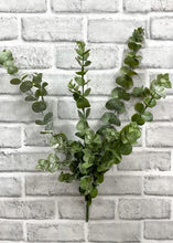 Load image into Gallery viewer, Fresh Touch Eucalyptus Bush