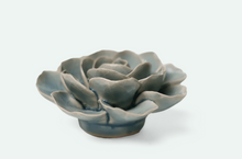Load image into Gallery viewer, Powder Blue Amandine Ranunculus