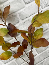 Load image into Gallery viewer, Brown Green Lemon Leaf Spray