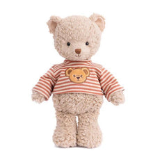 Load image into Gallery viewer, Colin Teddy Bear