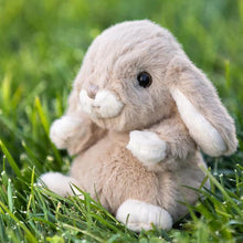 Load image into Gallery viewer, Taupe Kanini Baby Bunny