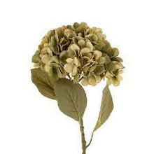 Load image into Gallery viewer, Faded Green Hydrangea Floral Stem