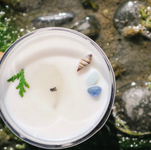Load image into Gallery viewer, Tofino | Sea Salt + Cypress + Jasmine + Driftwood