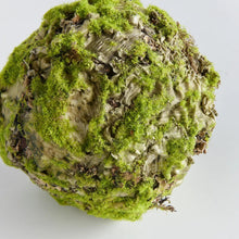 Load image into Gallery viewer, Mossy Lichen Orb
