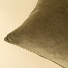 Load image into Gallery viewer, Olive Vera Velvet Pillow