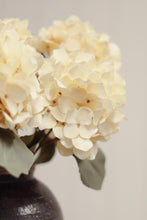 Load image into Gallery viewer, Cream Autumn Hydrangea Bundle