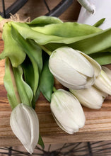 Load image into Gallery viewer, 12" Real Touch White Tulip Bundle