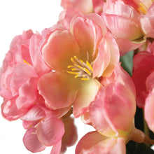Load image into Gallery viewer, Pink Cherry Blossom Bundle