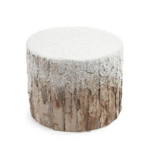Load image into Gallery viewer, Snowy Stump
