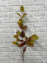 Load image into Gallery viewer, Brown Green Lemon Leaf Spray