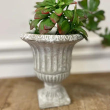 Load image into Gallery viewer, Cement Urn Planter