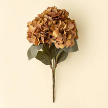 Load image into Gallery viewer, Burnt Orange Autumn Hydrangea Bundle