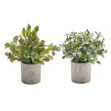 Load image into Gallery viewer, Faux Plant in Cement Pot