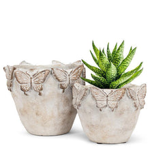 Load image into Gallery viewer, Butterfly Edged Planter