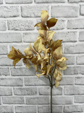 Load image into Gallery viewer, Cream Dried Leaf Spray
