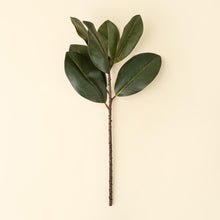 Load image into Gallery viewer, Magnolia Leaf Branch