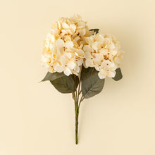 Load image into Gallery viewer, Cream Autumn Hydrangea Bundle